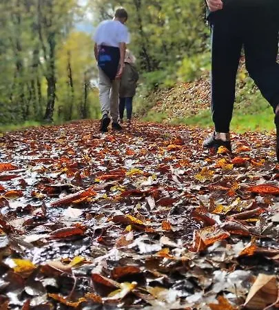 Traumblick شقة Kreuzwertheim